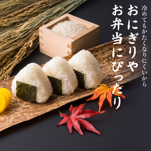 【令和7年度産】減農薬ミルキークイーン 精米 5kg / 米 農家直送 低農薬 綾部市 / 森本ファーム［BSDH130］