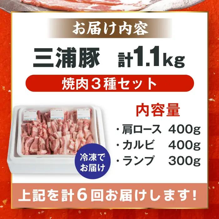 【6回定期便】 豪華 三浦豚 1.1kg 焼肉セット 肩ロース カルビ ランプ / 恵那市 / あづま精肉店 [AUDL019]