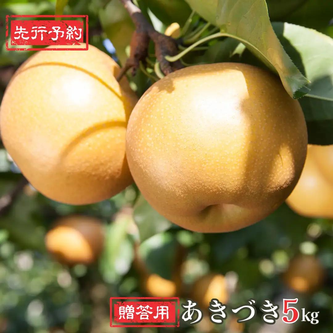 先行予約 和梨 あきづき 5kg  新潟県 三条市 岩福農園