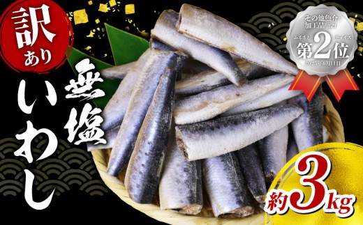 いわし 無塩 ドレス 【 訳あり 】 約 3kg 国産 千葉県産 イワシ 冷凍 鰯 頭なし 内臓除去 処理済み 簡単調理 手軽 和風 料理 和食 おすすめ おかず 惣菜 弁当 夕食 食卓 人気 魚 海鮮 水産 水産加工品 訳アリ 訳有り わけあり 千葉県 旭市 株式会社ヤマゴ ymg003