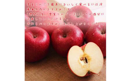 雪室 りんご「サンふじ」 5kg サイズおまかせ 【2026年1月下旬頃～2月下旬頃発送予定】2025年産 令和7年産　012-B-MM039