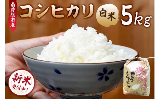 
                  【新米】【令和8年産】南房総市産コシヒカリ白米5kg mi0018-0012 【お米 精米 ごはん こしひかり おにぎり ブランド米 国産米】
                