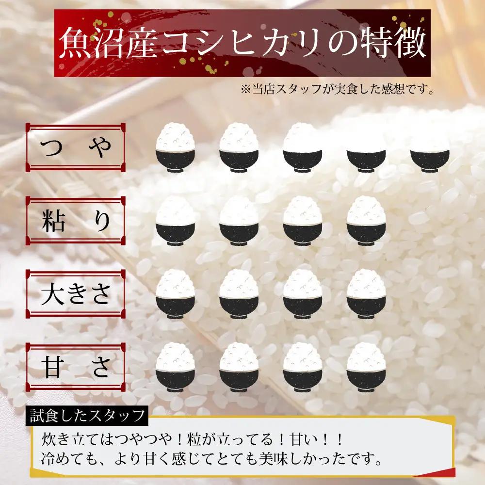 【定期便6回】令和7年産 新潟県 魚沼産 無洗米 コシヒカリ5kg 精米 一等米  天糧