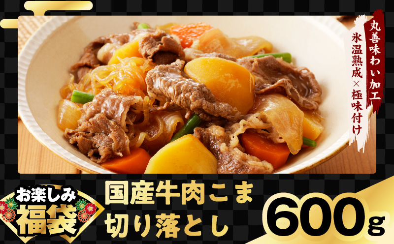 【夏の肉福袋】4種 3.8kg 焼肉セット（牛肉 切り落とし／牛ハラミ／豚肉 スペアリブ／鶏肉）【氷温熟成×極味付け 焼くだけ 食べ比べ ふくぶくろ お楽しみ 簡単調理】 mrz0155