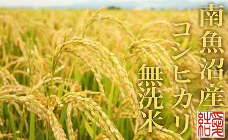 【令和7年産】【定期便6Kg×全3回【無洗米】 南魚沼産コシヒカリ【2025年10月上旬より順次発送予定】