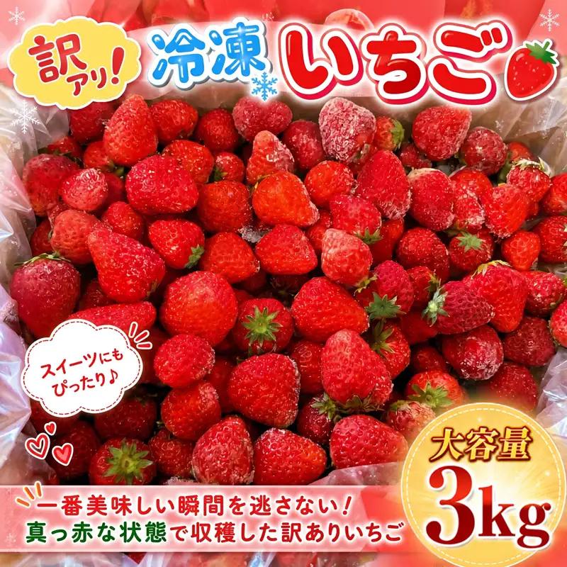 いちご 冷凍 訳あり 3kg いちご