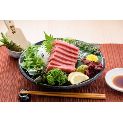 ふるさと納税 茂原市 本マグロ 中トロ 600g |  | 02