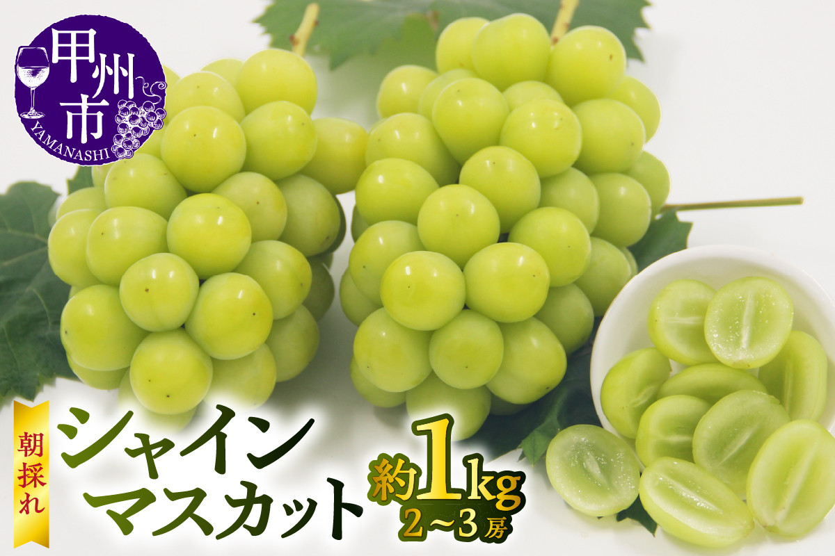 
            【宿沢フルーツ農園】シャインマスカット 約1.0kg（2～3房）【2026年発送】（SF）B-181【シャインマスカット 葡萄 ぶどう ブドウ 令和8年発送 期間限定 山梨県産 甲州市 フルーツ 果物】
          