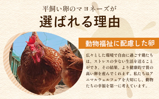 こっこの陽なたマヨ 170g×2個｜平飼いたまご使用・無添加風マヨネーズ｜安心・安全 調味料 サラダ・ポテトサラダ・ディップ・ドレッシングに