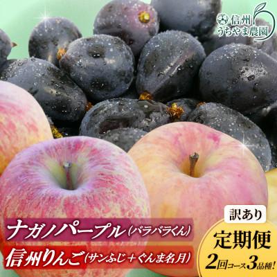ふるさと納税 長野県 【発送月固定定期便】訳あり定期便★ナガノパープル★ぐんま名月★サンふじ★2回コース　3品種!全2回