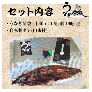 訳あり！鹿児島県産うなぎ蒲焼 特大 190g超 訳ありうなぎの蒲焼 うなぎ 鰻 ウナギ 国産 鹿児島県産 うなぎの蒲焼のタレ付き【A-1550H】