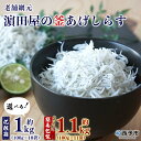 【ふるさと納税】＜老舗網元 濱田屋の釜あげしらす 計1kg（100g×10袋）／計1.1kg（100g×11袋）＞ 数量限定 化粧箱 簡易包装 選べる 釜揚げ シラス じゃこ 海鮮 海産物 丼 小魚 乾物 小分け カルシウム 国産 マルヨシ水産 愛媛県 西予市【冷凍】『1か月以内に順次出荷予定』