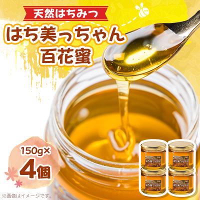 ふるさと納税 尼崎市 天然はちみつ「はち美っちゃん」　百花蜜　150g×4個