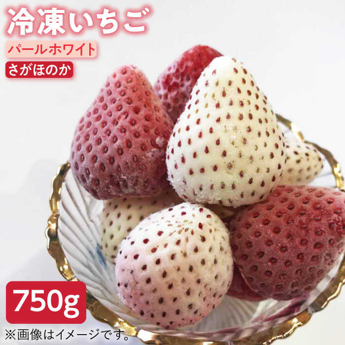 【ふるさと納税】【2026年5月以降発送】 冷凍いちご(さがほのか・パールホワイト) 750g 2種の食べ比べセット【ハヤシダファーム】 ジャム シロップ スムージー 冷凍 イチゴ 苺 果物 くだもの フルーツ 冷凍果実 冷凍フルーツ 佐賀県 白石町 白石 [IAQ003]