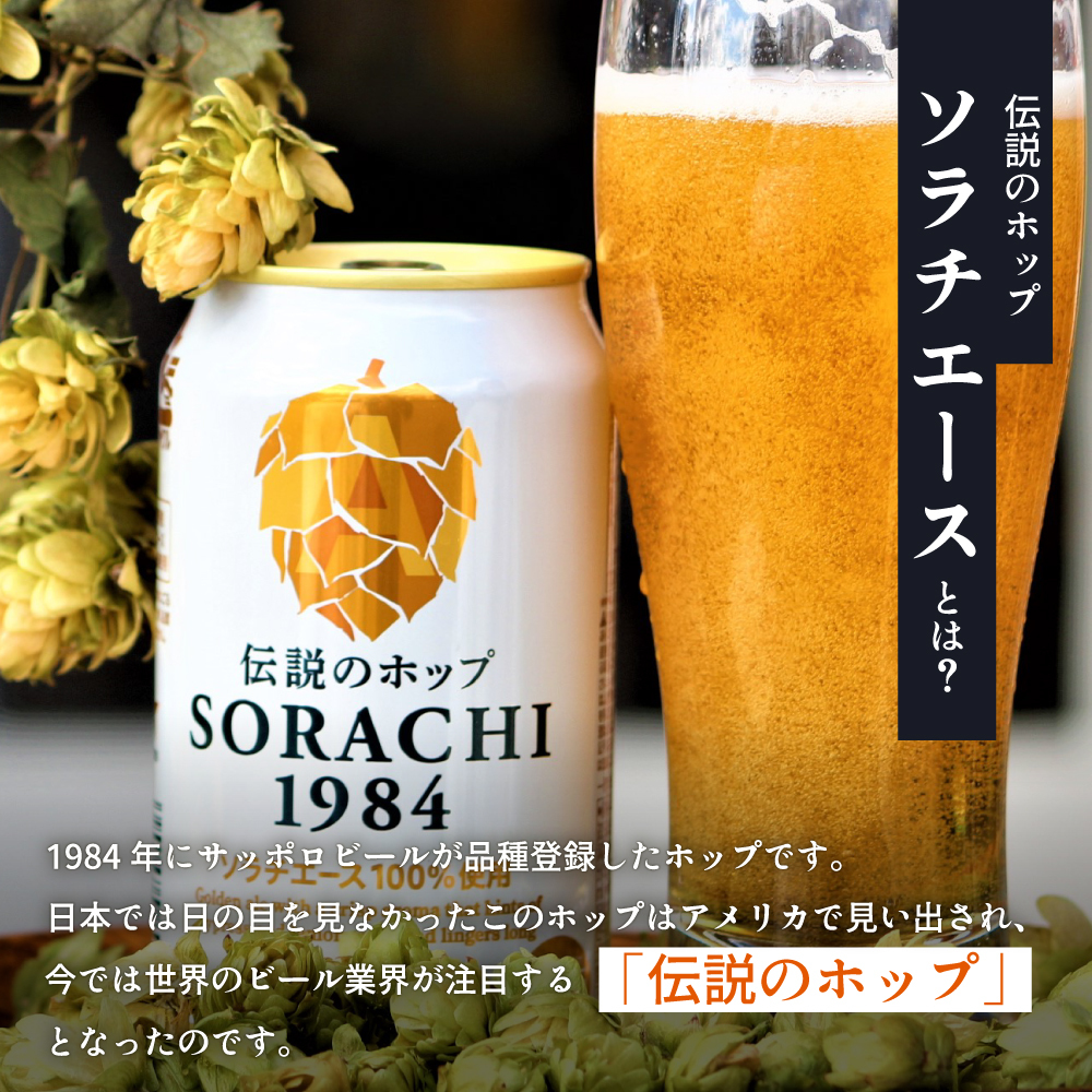 ◆6ヵ月連続お届け定期便◆SORACHI 1984 1箱（350ml×12缶） 株式会社 ヤマイチ 北海道 上富良野町 ソラチ1984 お酒 酒 飲み物 ビール 地ビール サッポロビール サッポロ ギ