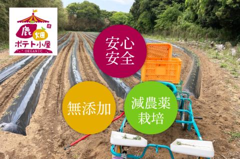 【数量限定】鹿嶋市産！！鹿畑ポテト小屋の紅はるか　干し芋　3～４袋入り　合計1kg （KBR-7）