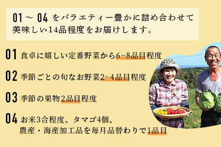   【6ヶ月お届け】肥前の国の農産物大満足定期便 H-10