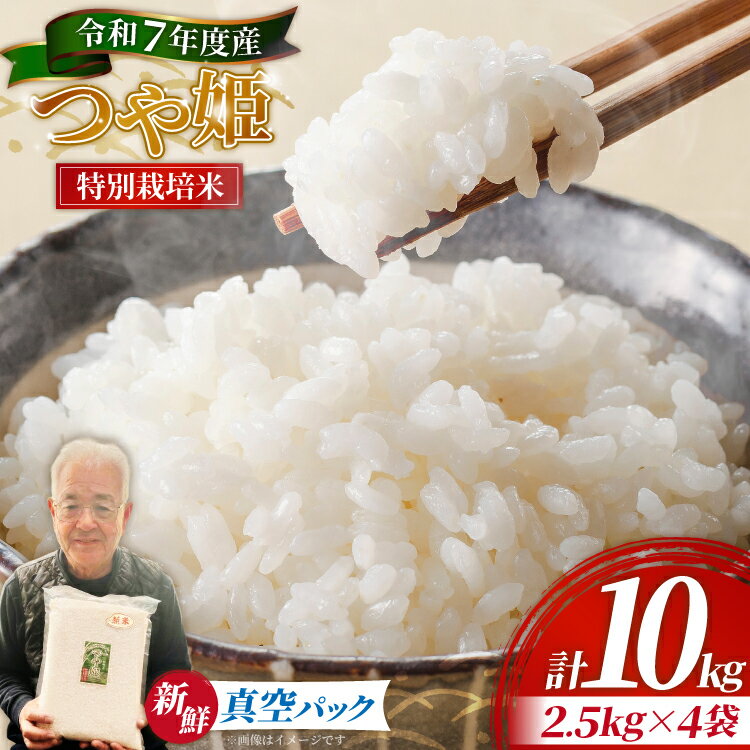 【ふるさと納税】 米 令和7年産 特別栽培米 つや姫 10kg (2.5kg×4袋) [齋藤 文芳 山形県 高畠町 tk06biz810000] コメ ご飯 ごはん お米 ブランド米