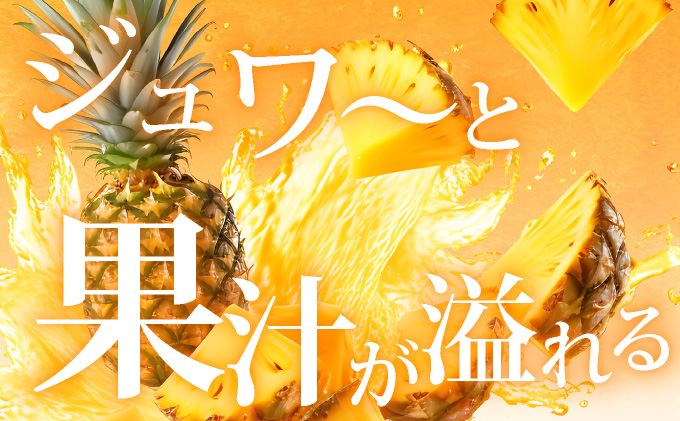 【先行予約】《2025年夏季 順次発送》ゴールドバレルパイン大玉２個入り 計3.4kg　SI-39
