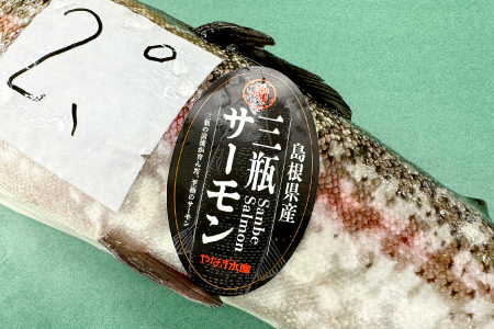 【訳あり】さんべサーモン切り落し 300g【サーモン 300g 切り落し サーモントラウト ニジマス サーモン さけ シャケ しゃけ sake 生食用 刺身 お刺身 刺し身 魚介類 海鮮 冷凍】