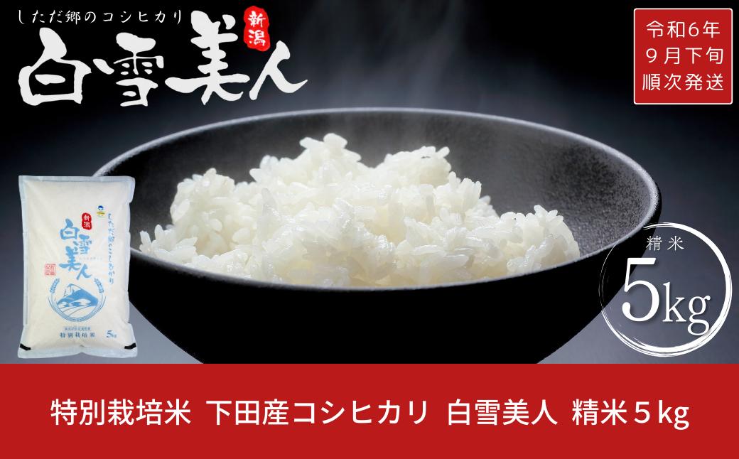 
令和6年産米 特別栽培米 下田産コシヒカリ 「白雪美人」 精米 5kg 新潟県 こしひかり 【011S096】
