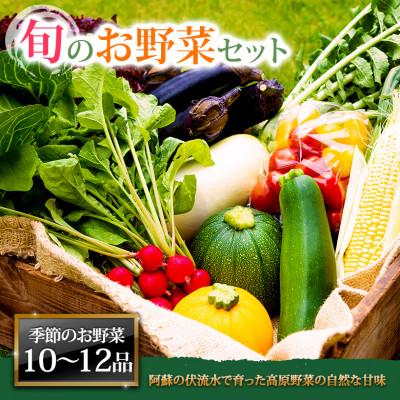 ふるさと納税 阿蘇市 季節のお野菜セットXL 旬のお野菜の中から10〜12品を厳選してお届け