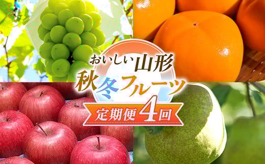 【2025年先行予約 定期便4回】 おいしい山形 秋冬フルーツ定期便  マスカット ぶどう ブドウ 葡萄 デザート フルーツ 果物 くだもの 果実 食品 山形県 FSY-1837