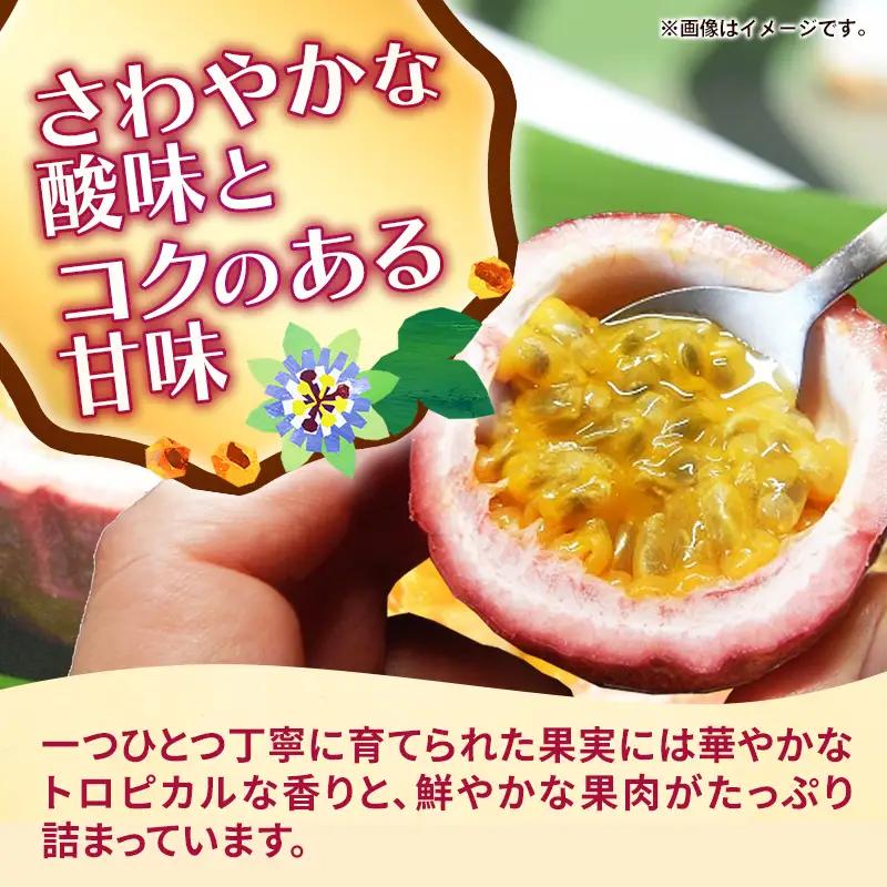 【贈答用】【先行受付・2027年発送】黄金ファーム南星 パッションフルーツ 優品 約1kg (8～12玉) - 贈答品 プレゼント 贈り物 ギフト 先行予約 南国フルーツ 国産 おすすめ 沖縄県 八重