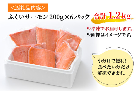 国産 ふくいサーモン 200g × 6パック 計1.2kg  刺身 サケ 鮭[D-001003]