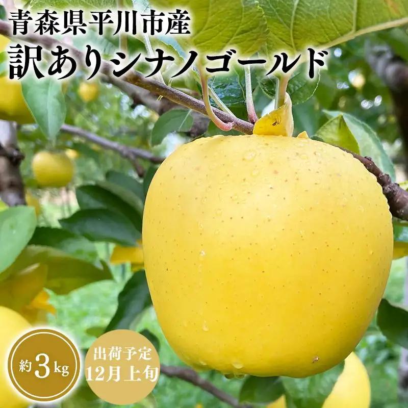 りんご 家庭用 シナノゴールド 約3kg 青森県平川市産　[hi-0036-006]