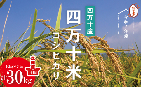 令和7年産 3回 定期便 四万十産 四万十米 コシヒカリ 10kg （5kg×2袋）×3回（計30kg） 国産 こしひかり コシヒカリ 30kg 2025年 精米 白米 米 おこめ こめ コメ ご飯 ごはん 四国 高知 四万十 しまんと 25-946