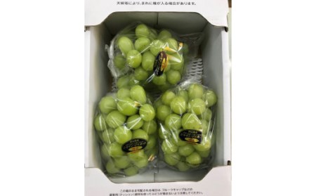 大原観光果樹園 シャインマスカット 約2kg 3～4房 【先行予約 9月下旬から順次発送】
