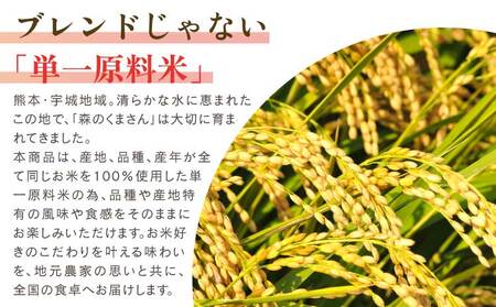 令和7年産 精米 森のくまさん 10kg 【2025年11月上旬から発送予定】 JA熊本うき 