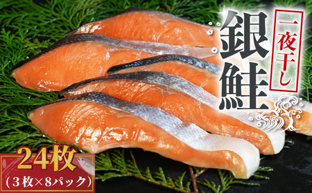 銀鮭 一夜干し 24枚 （8パック×3枚） 鮭 鮭 鮭 鮭 鮭 鮭 鮭