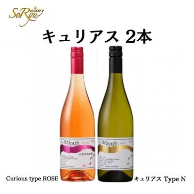 ふるさと納税 甲州市 蒼龍葡萄酒が贈る『キュリアス』ロゼ白ワイン2本セット　 B15696