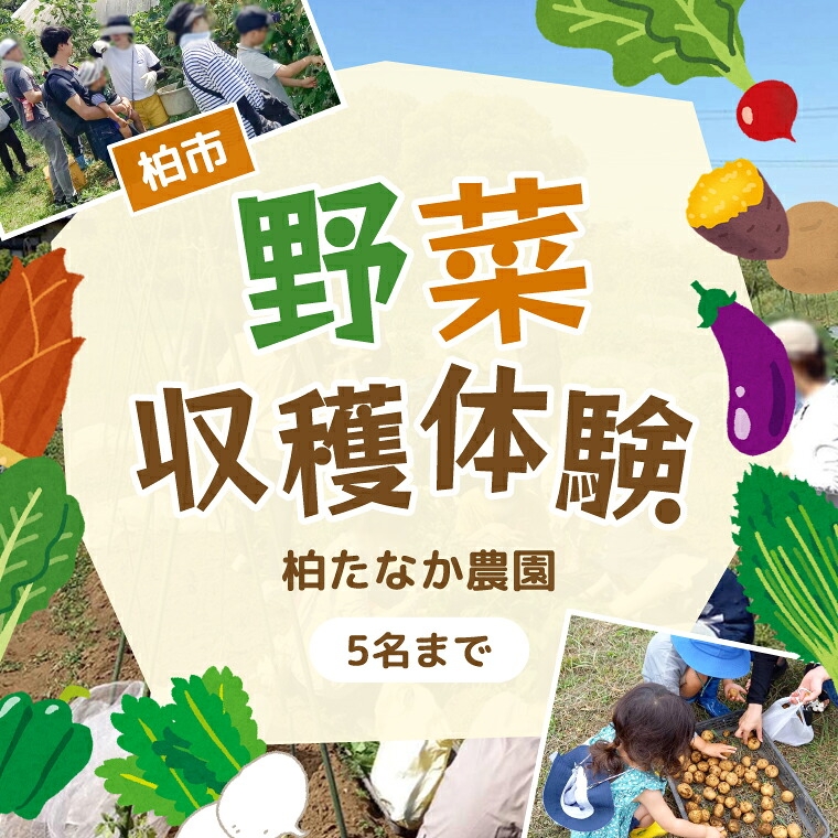 
                  農産物収穫体験（1組5名まで） 〈 旬の野菜の収穫体験 食育 収穫体験 農業体験 体験 収穫 野菜 子供 親子 レジャー 観光 農作物 ふるさと納税 柏 〉
                