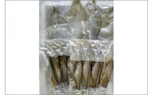 間人港 瞬冷ひもの Cセット（8人用） 平七水産