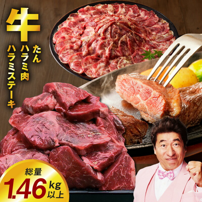 【ふるさと納税】【発送月が選べる】 ねぎ塩ダレ 牛タン 赤タレ漬 牛ハラミ肉 ガーリックバター ハラミステーキ アキラ商店 人気 セット 牛肉 焼肉用 味付き 訳あり サイズ不揃い 焼くだけ 簡単調理 お弁当 BBQ お取り寄せグルメ 冷凍 大阪府 泉佐野市 送料無料 肉の泉佐野