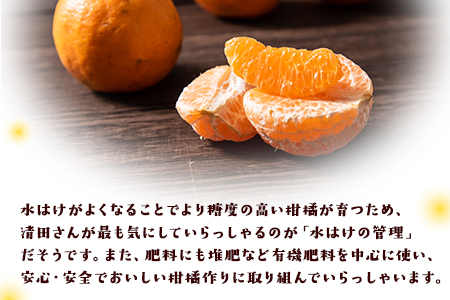 『清晃アグリ』のご家庭用ポンカン 約4kg(M-3Lサイズ)《12月中旬-1月中旬頃出荷》予約受付中 フルーツ 秋 旬 少し青くても甘くてジューシー♪熊本県玉名郡玉東町