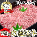 【ふるさと納税】【森村商会】特選近江牛ロースステーキ250g×3枚【冷凍】【牛肉 ランキング 極上 ブランド牛 旨み たっぷり 送料無料 】【国産】