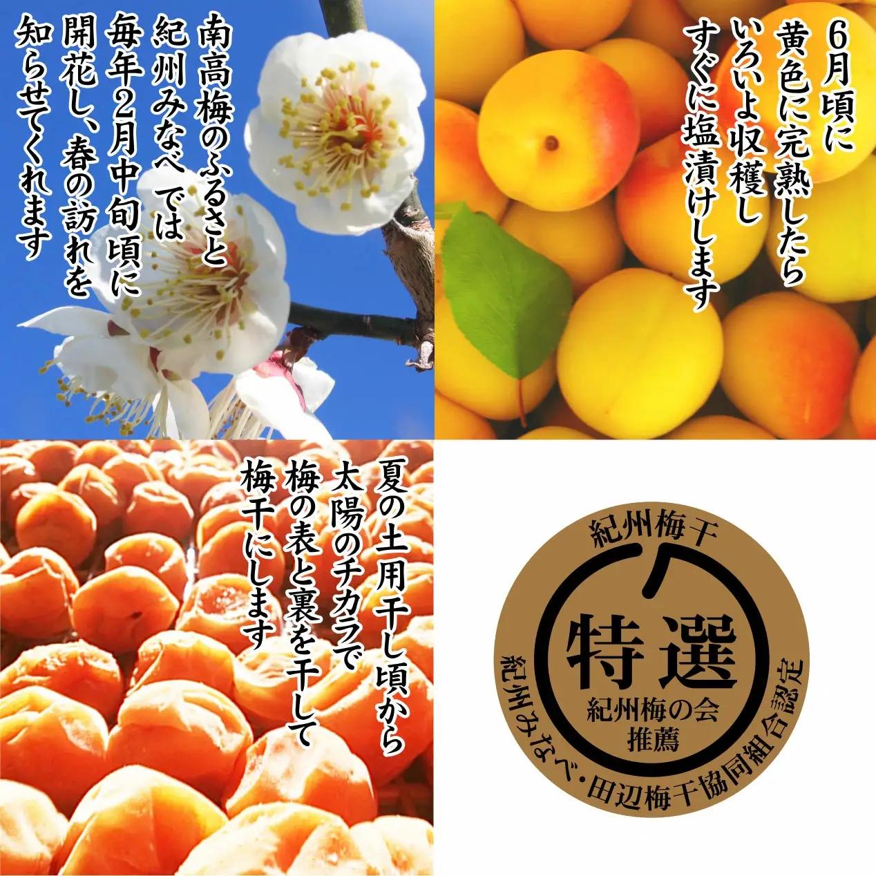 紀州産南高梅 みつふる12粒入り 減塩1.5% tnht002A【tnht002A】