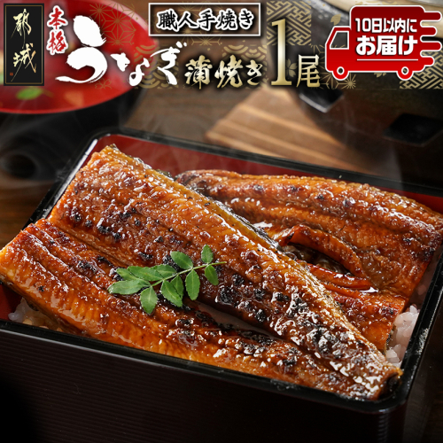 職人手焼きの本格うなぎ蒲焼き1尾≪みやこんじょ特急便≫_LG8-33-003-1-Q