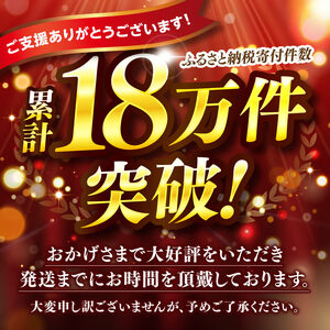 豚肉 ヒルナンデスで紹介！【令和8年9月発送】宮崎県産 豚肉 6種4.1kg 小分け セット