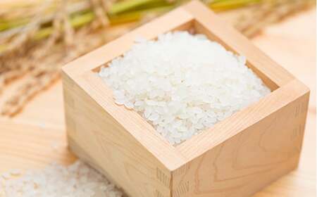 【令和7年度産】米食味鑑定士厳選 新庄産米「あきたこまち」（精米） 5kg 米 お米 おこめ 山形県 新庄市 F3S-2561