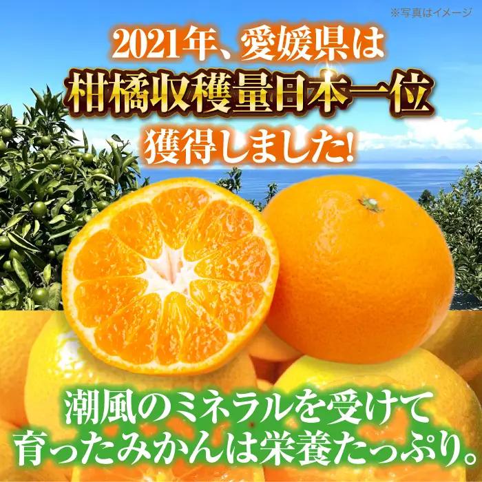 みかん みかん 1.5kg （2S-2L）[AGBC020]
