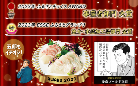 訳あり かつおのたたき 1kg と 愛南ゴールド 真鯛 200g お試し セット 10000円 サイズ 不揃い 規格外 カツオたたき 鰹たたき カツオ タタキ 肉 厚 養殖 タイ みかん 河内晩柑 柑