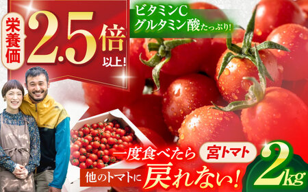 プチッと弾ける果汁「宮トマト」2kg / 野菜 やさい トマト とまと ミニトマト プチトマト / 諫早市 / 株式会社宮下農園 [AHCG012]