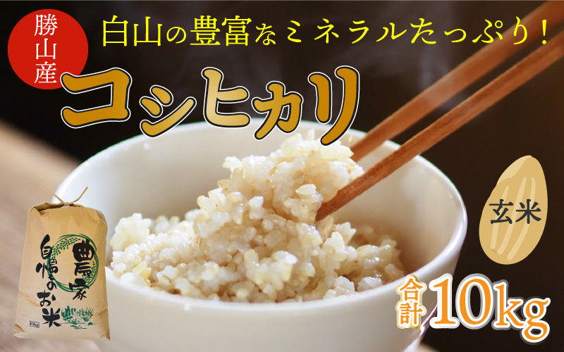 【先行予約】白山の恵み 令和8年産 コシヒカリ玄米（10kg）※2026年10月上旬以降順次発送予定 [A-009012]