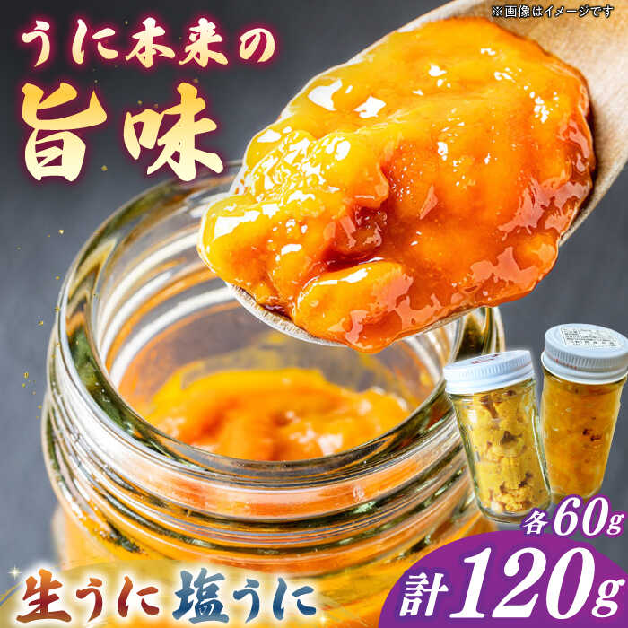 【ふるさと納税】生ウニ＆一汐うに 各60g 食べ比べセット《壱岐市》【馬渡水産】[JAQ024] うに ウニ 雲丹 新鮮 海鮮 魚介