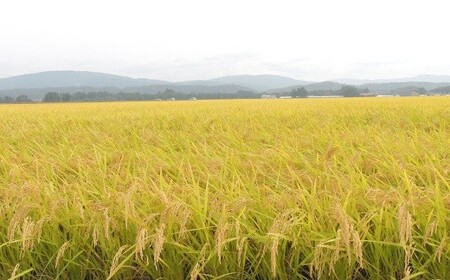 【３ヶ月定期便】岩手花巻産ひとめぼれ「健土健米」５㎏ 【305】